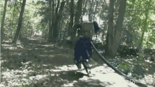 Մարդակերպ ռոբոտն ազատ շրջում է անտառով. տեսանյութ